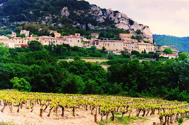 800px-Cotes_du_Rhone_Village_Seguret_vineyards.jpg