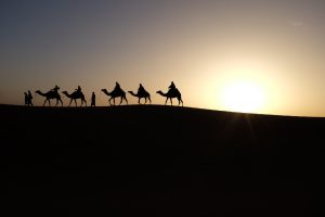 camels-1149803-300x200.jpg