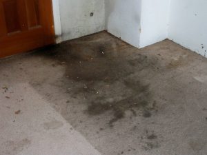 filthy-carpets-1526940074828-300x225.jpg