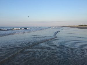kiawah-952001_1920-300x225.jpg