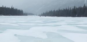 kootenay-plains-blizzard-39020042p-300x145.jpg