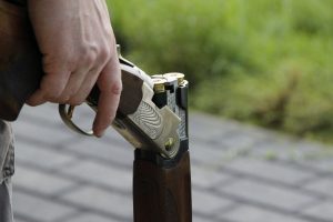 shotgun-1181648-300x200.jpg