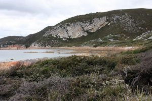 1280px-Rocky_Cape_2009-300x200.jpg