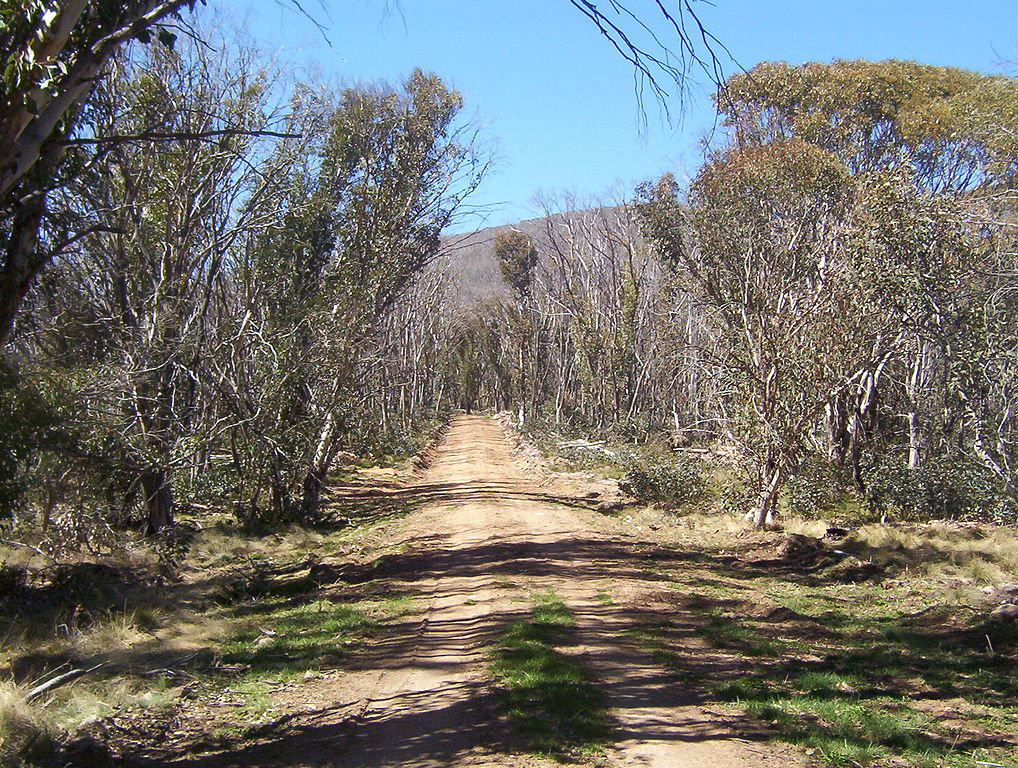 1018px-namadgi_national_park_walking_trail-1540783947372.jpg