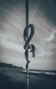 greg-willson-557493-unsplash-192x300.jpg