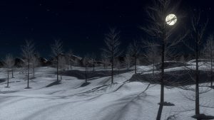 snow-642454-300x169.jpg