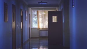 architecture-daylight-door-239853-300x169.jpg