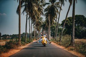 coconut-trees-couple-daylight-2174656-300x200.jpg