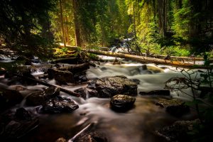 creek-1866543_1920-300x200.jpg