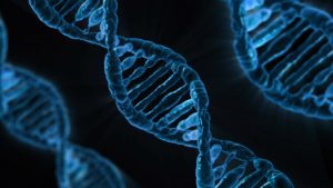 dna-163466-300x169.jpg