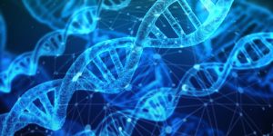 dna-3539309_1920-300x150.jpg