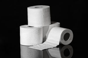 toilet-paper-3964492-1-300x199.jpg