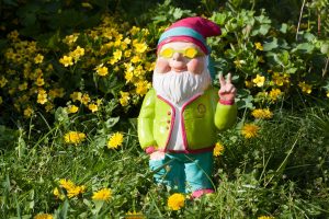 dwarf-1336356_1920-300x200.jpg