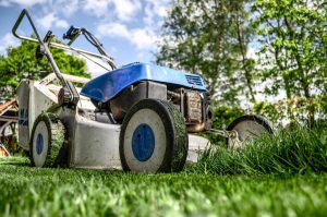 lawnmower-384589-1-300x199.jpg