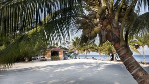 csm_royal_belize_004_89e1ab91ce-vladi-300x171.jpg
