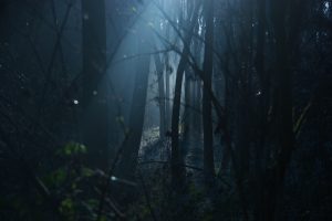 dark-1936954_1920-300x200.jpg