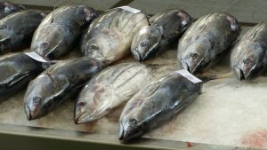 fish-market-244415-300x169.jpg