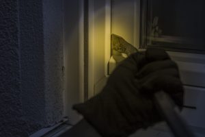 burglar-1678883-300x200.jpg