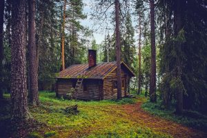 log-cabin-1886620-300x200.jpg
