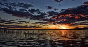 Albufera, Valencia, Spain