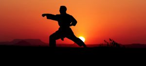karate-3961079-300x136.jpg