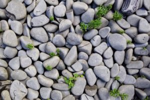 rocks-1246668-300x200.jpg