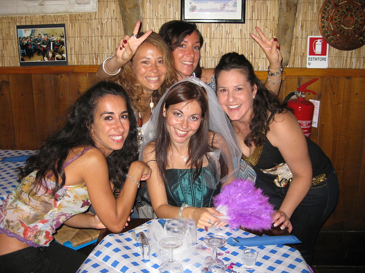 Bridezillas facts