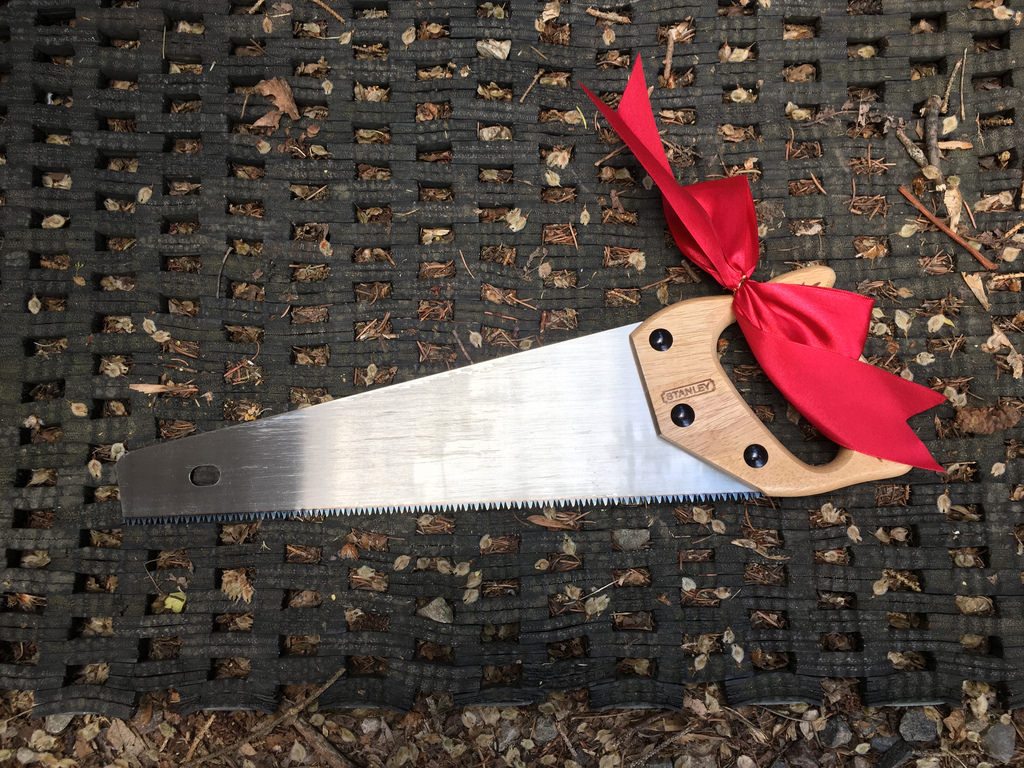 Strange Family Traditions Facts