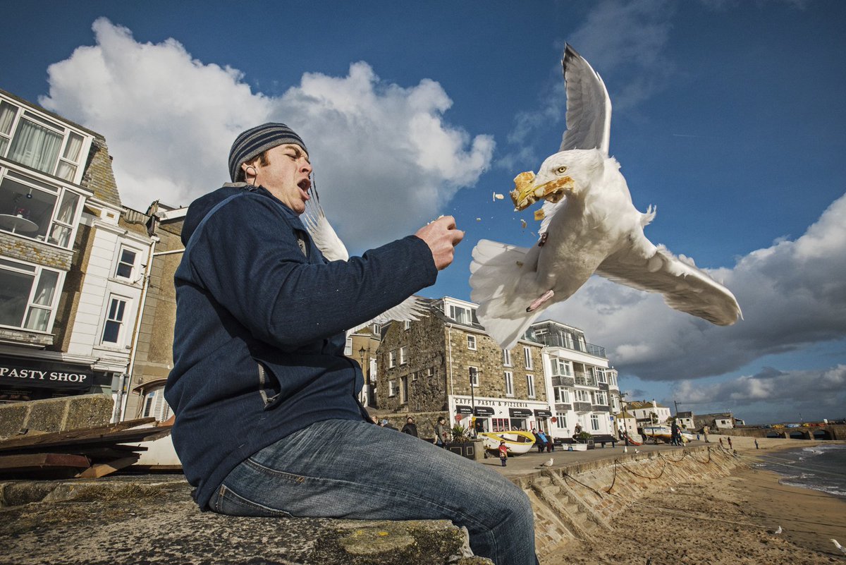 Total Jerks Receiving Instant Karma facts