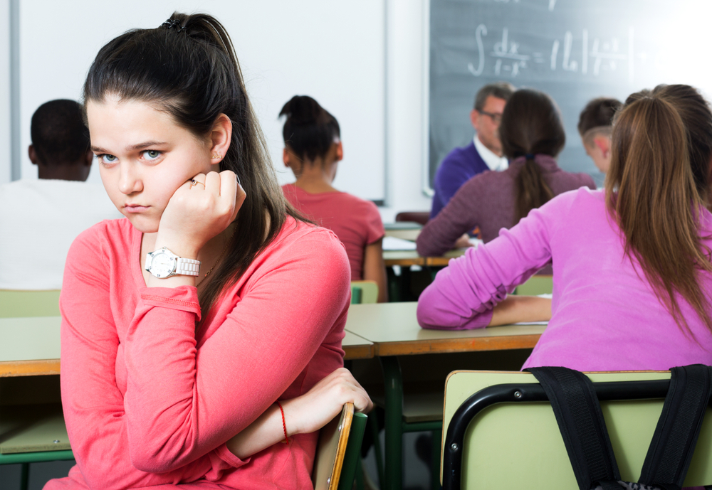 Snapped Back At Bully Facts