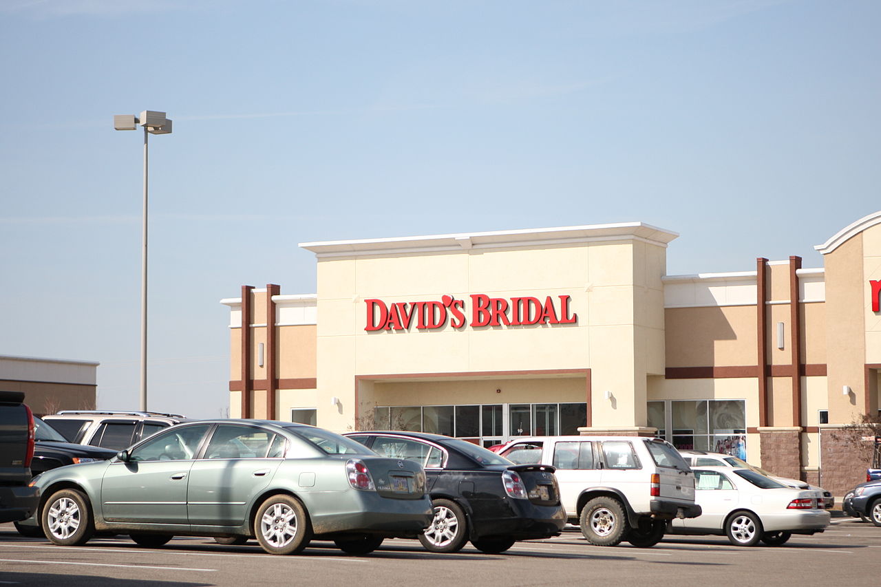 Bridezillas facts