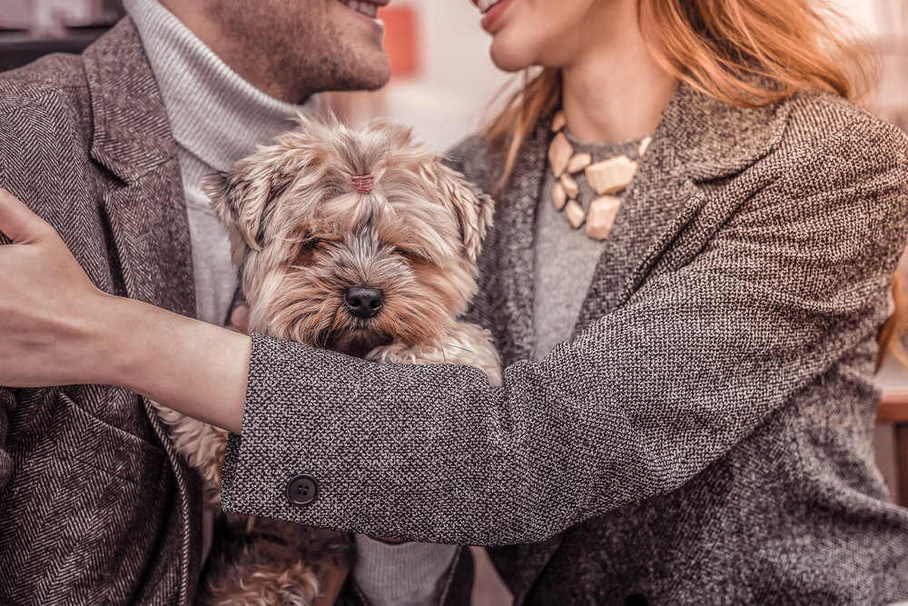 Rejected Proposals facts