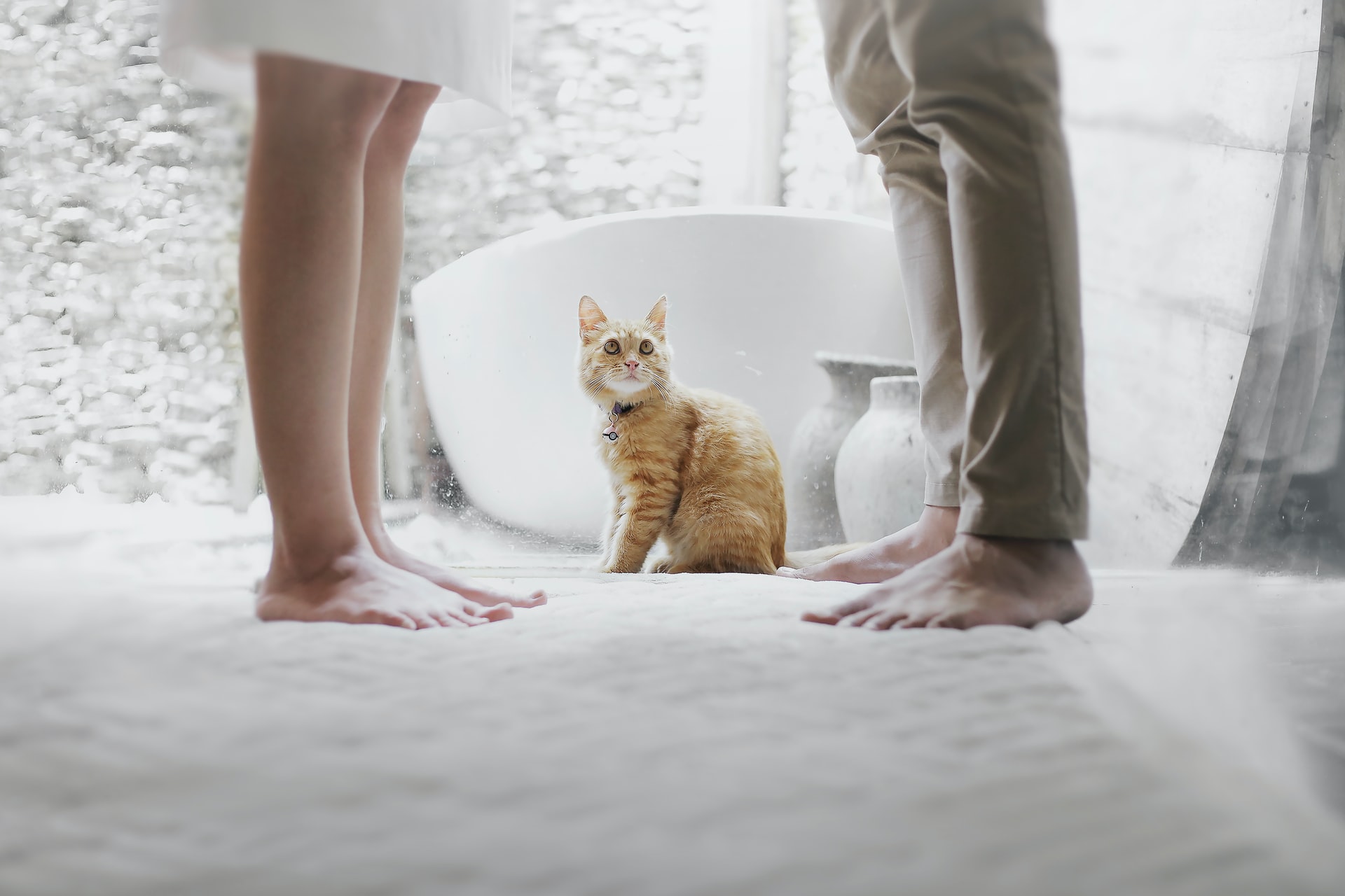 Wild reasons for divorce