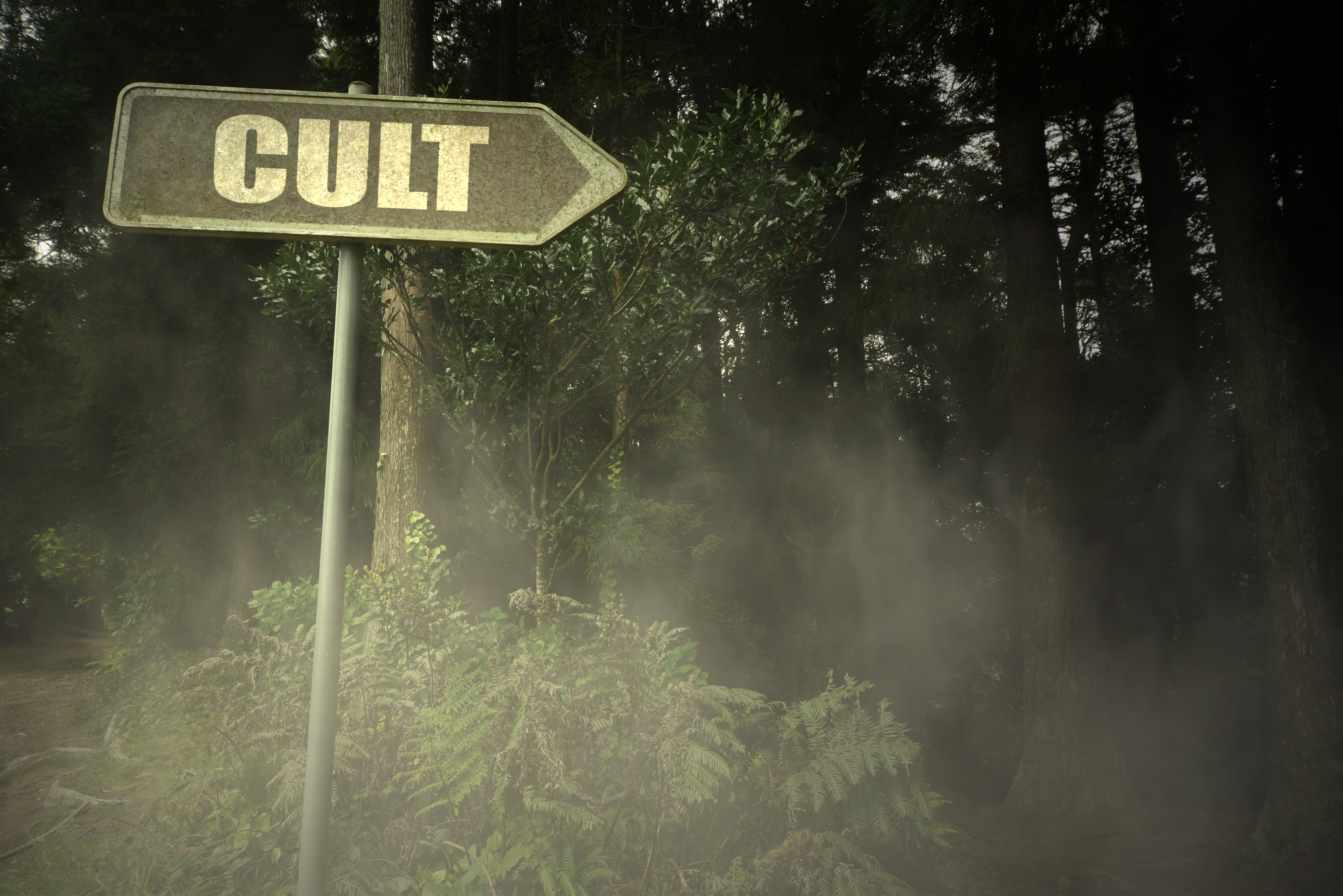 I’m In A Cult facts