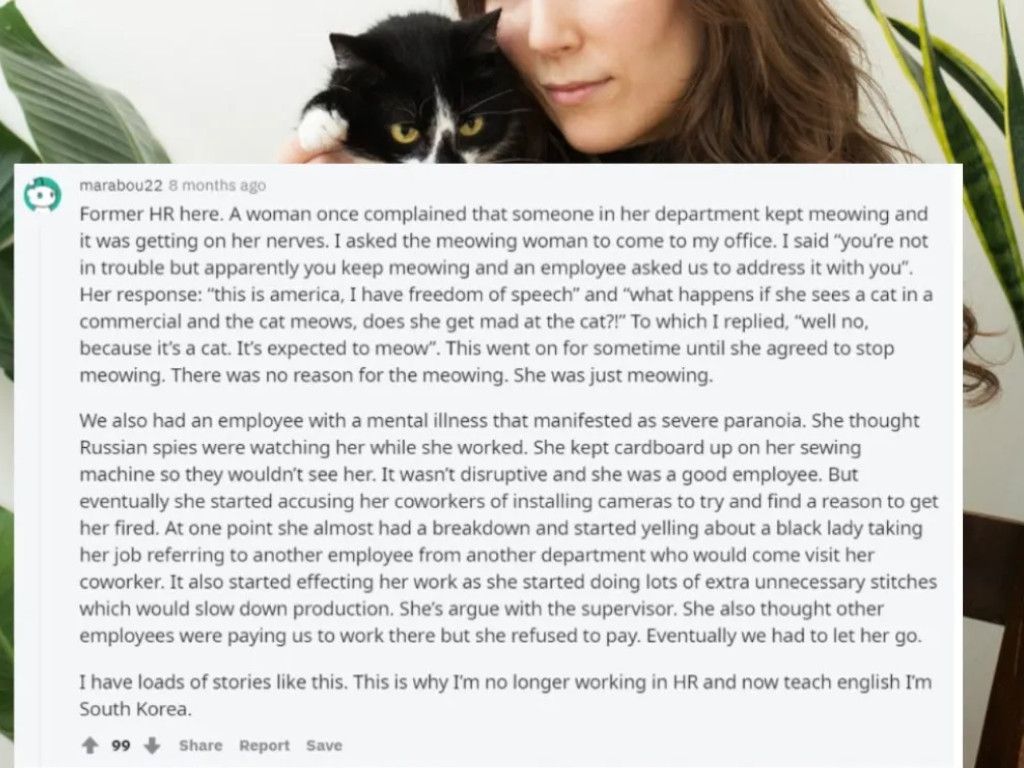 37-Hilarious-Stories-Directly-HR-Department-Pinterest.jpg.optimal.jpg