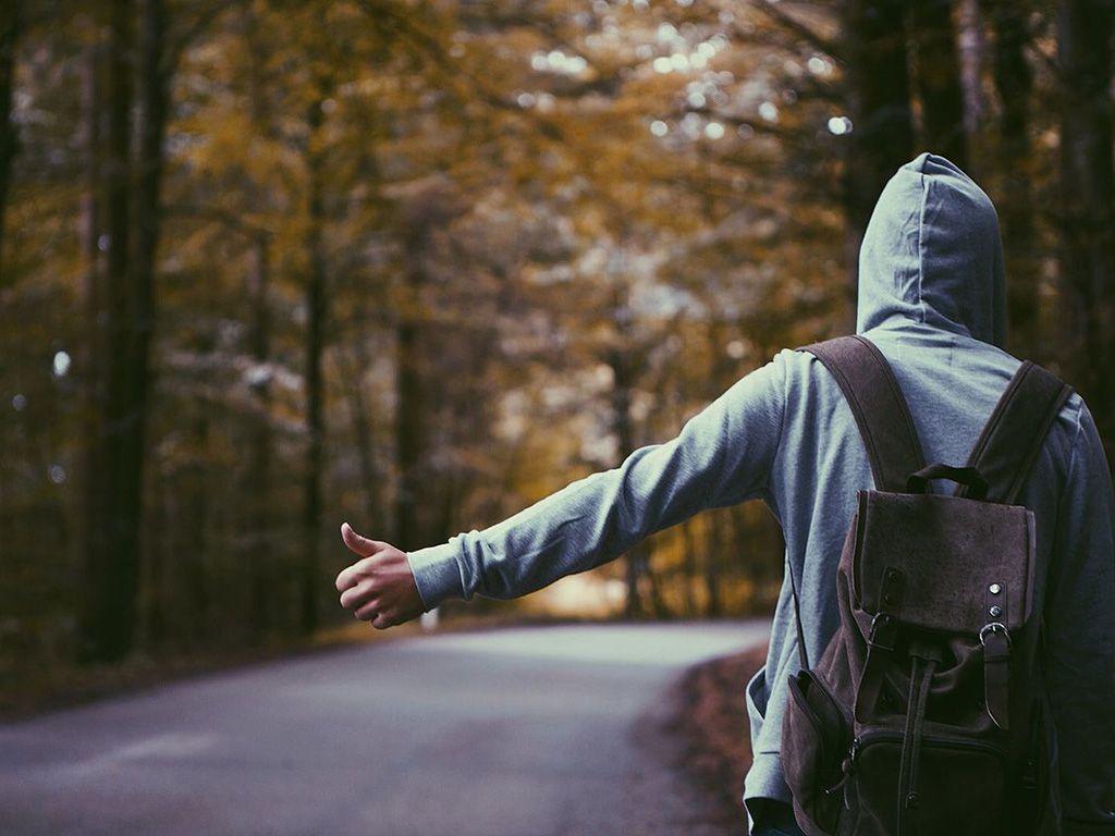 resize8901_Hitchhiker_in_a_forest.jpg.optimal.jpg