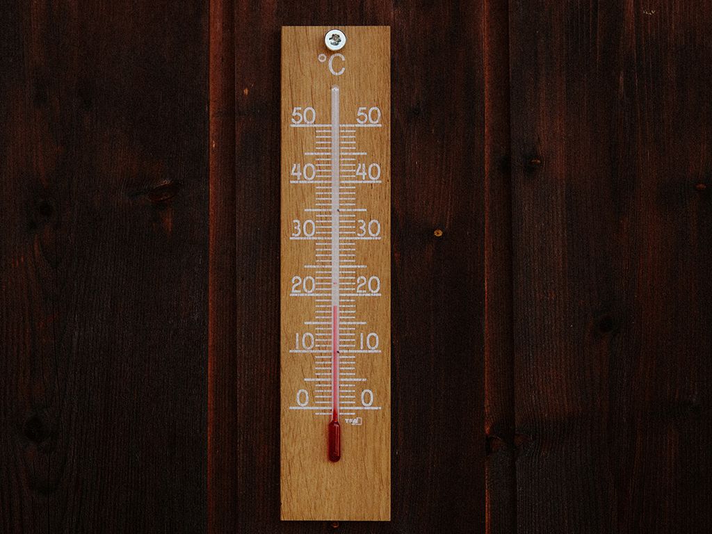resizebianca-ackermann-gR8QukPoAvQ-unsplash.jpg.optimal.jpg