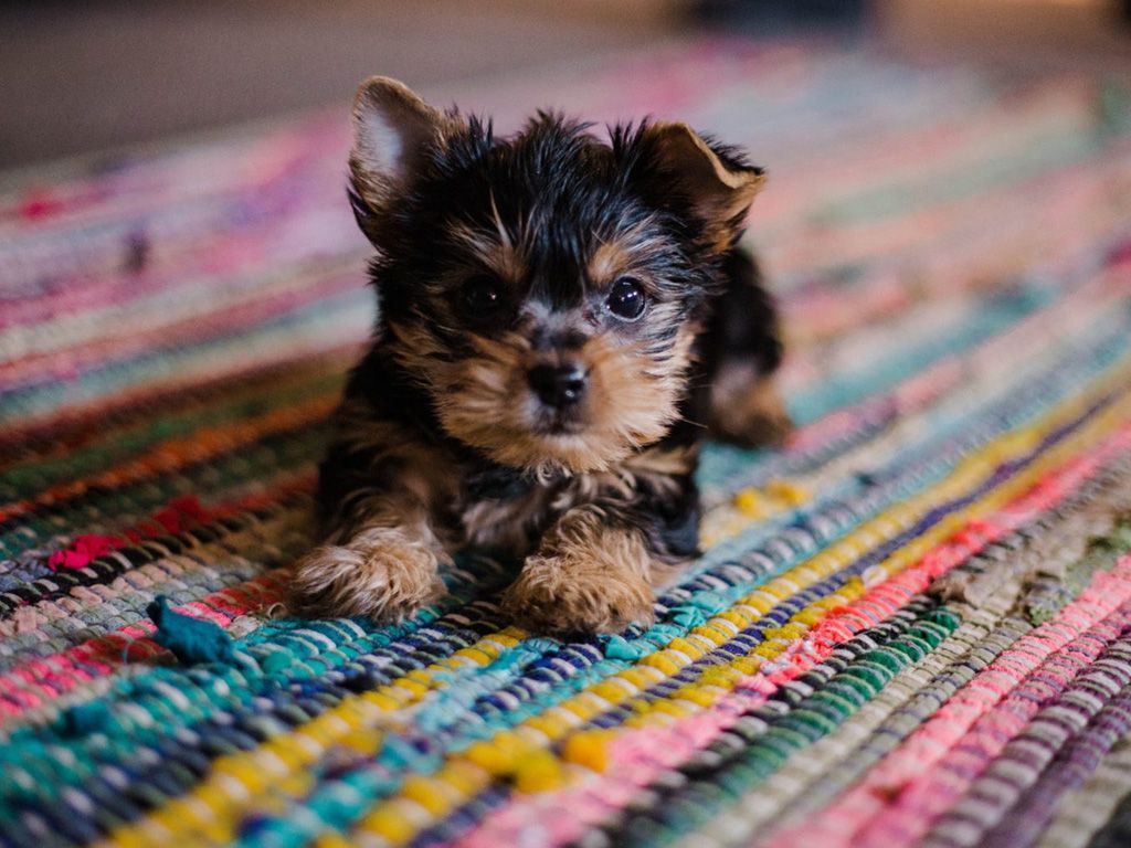 resizehannah-grace-fk4tiMlDFF0-unsplash-1536x1024-1.jpg.optimal.jpg
