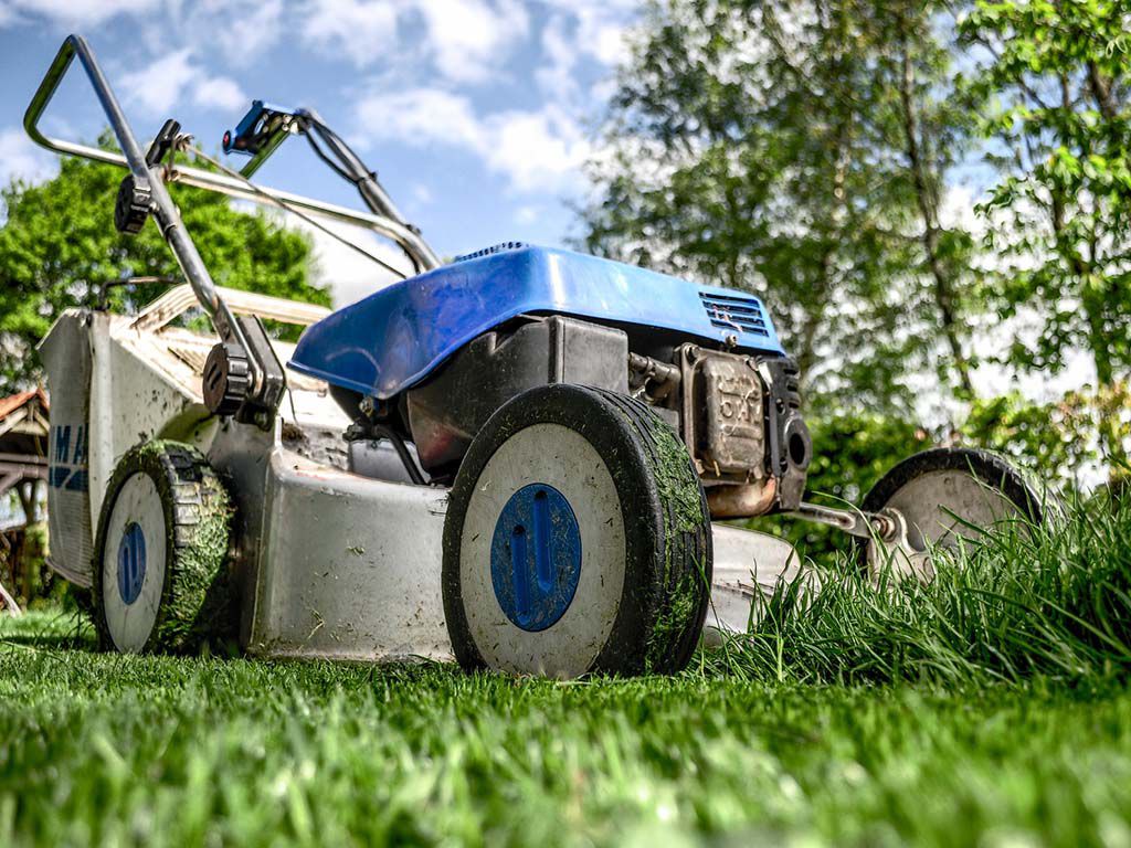 resizelawnmower-384589_1920.jpg.optimal.jpg
