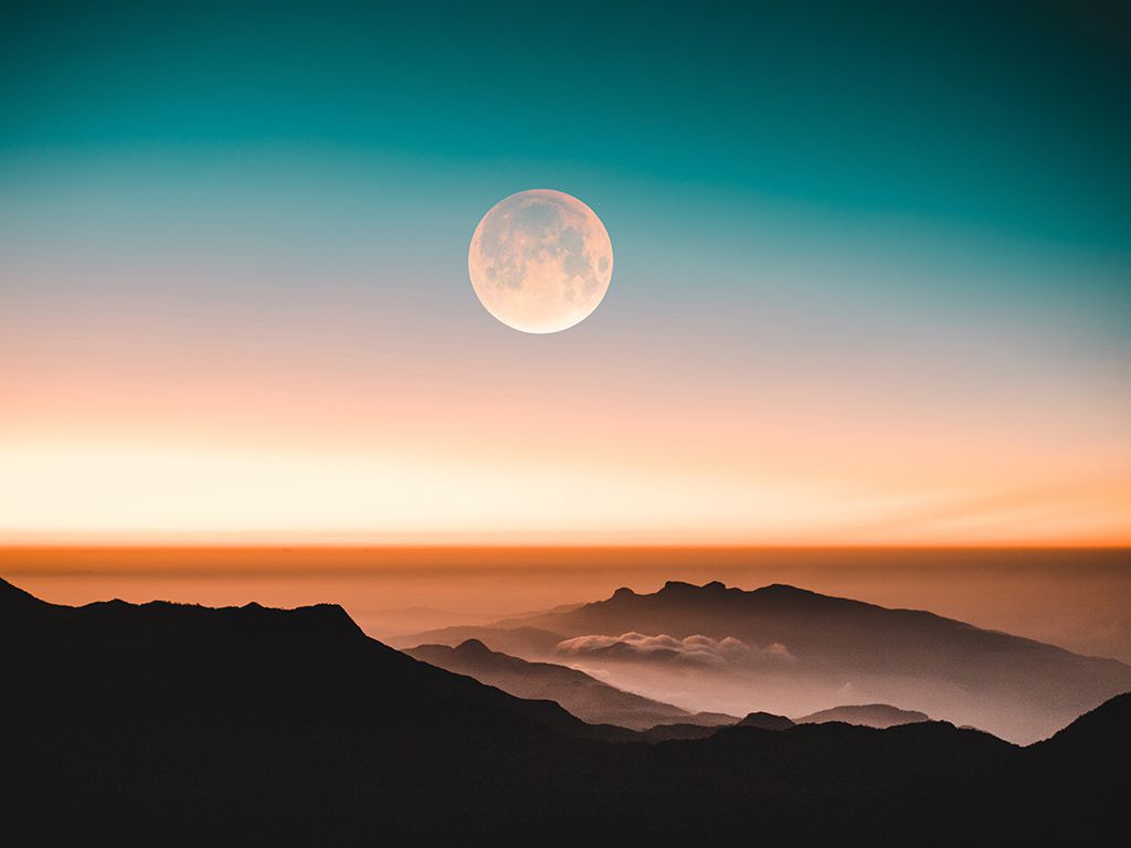 resizemalith-d-karunarathne-qIRJeKdieKA-unsplash.jpg.optimal.jpg