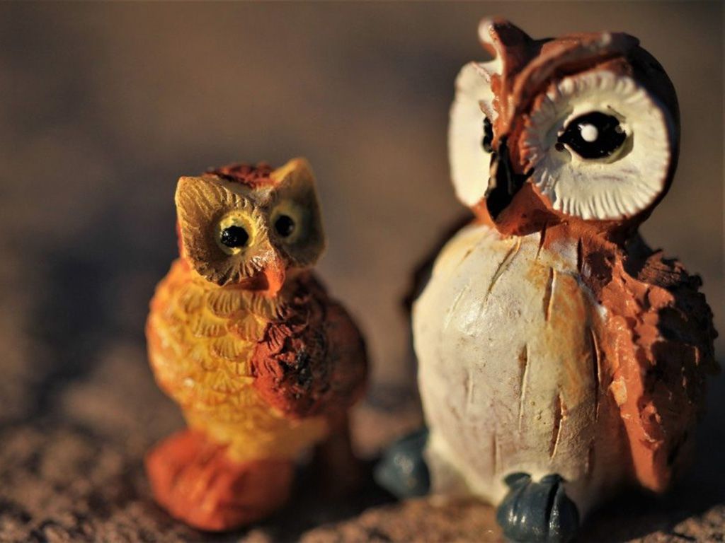 resizeowls-4992205_1280-1024x683-1.jpg.optimal.jpg