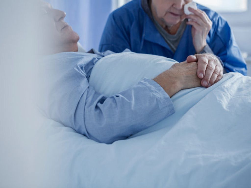 resizeshutterstock_1019241457-768x512-1.jpg.optimal.jpg