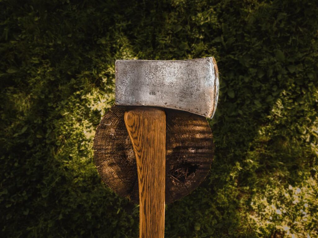 axe-Dane-axe-hatchet-1498637-pxhere.com_-1024x768.jpg.optimal.jpg