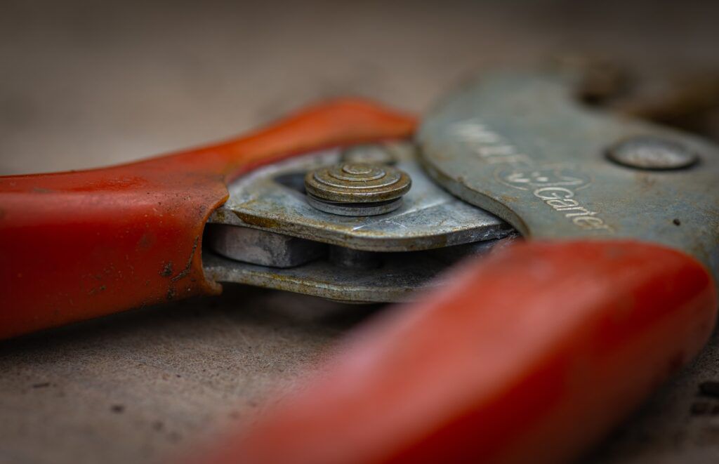 pruning-shears-g814e5177f_1920-1024x661.jpg.optimal.jpg
