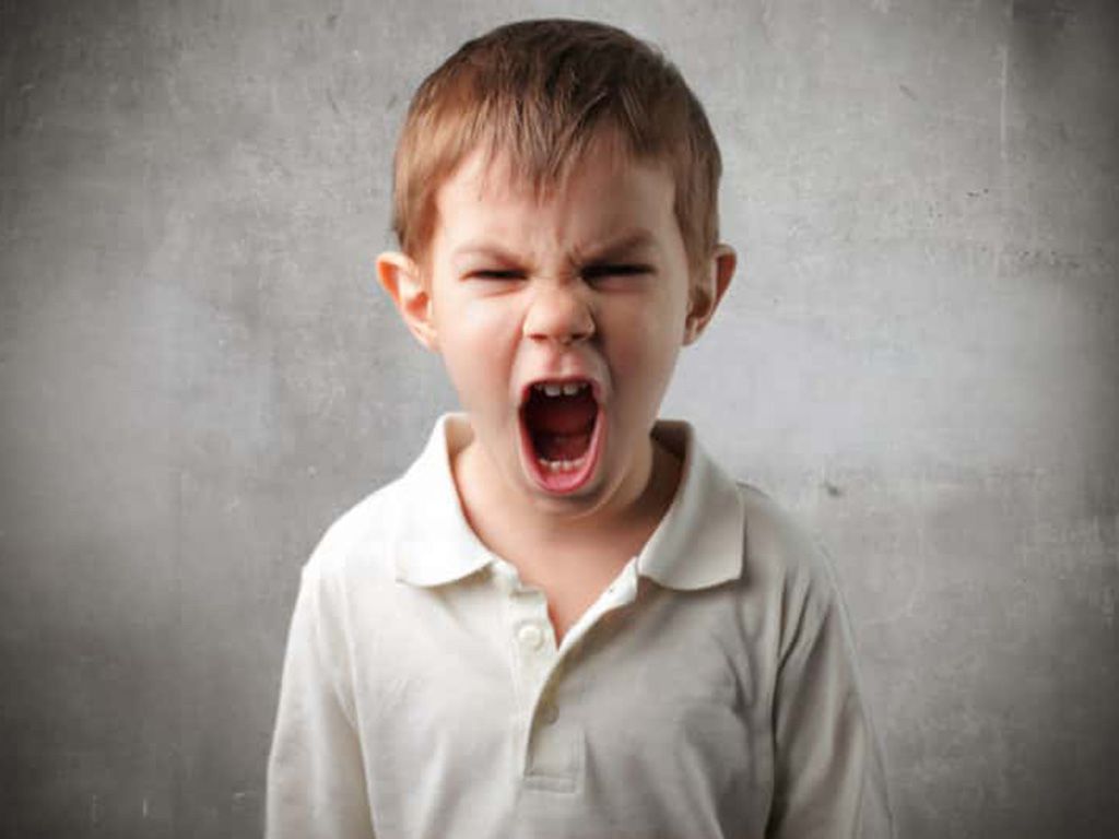 resizeshutterstock_51179569-768x533-1.jpg.optimal.jpg